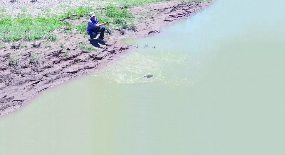 ---------------------------------------