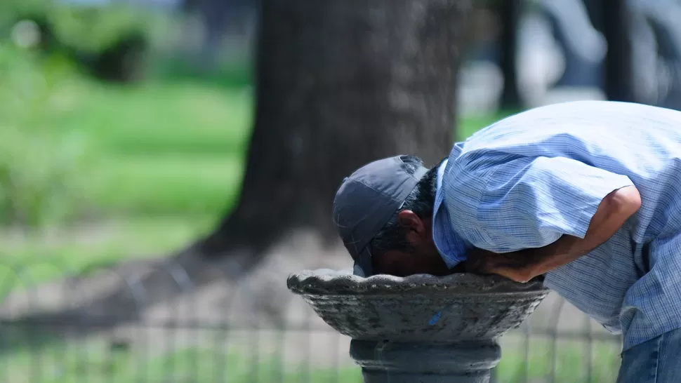 LA GACETA / FOTO DE ANALIA JARAMILLO