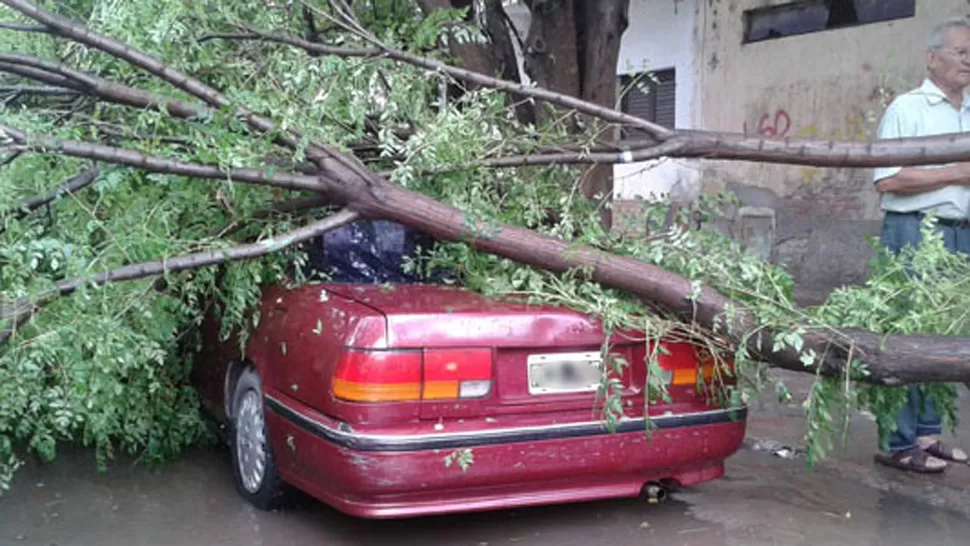 DESTROZOS. Decenas de árboles cayeron durante la tarde en Santiago del Estero. FOTO TOMADA DE ELLIBERAL.COM.AR