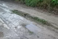 Las calles “imposibles” de Yerba Buena están llenas de malezas