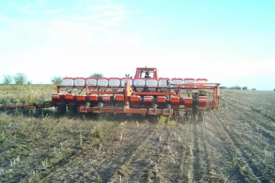 “Sólo se logró cultivar entre un 30% y un 35%”