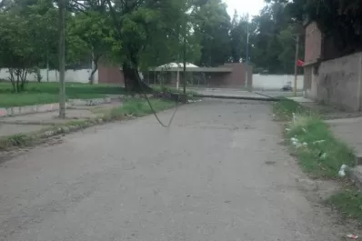 El poste de teléfono, víctima del intenso viento