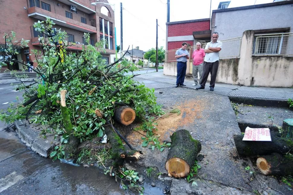 ZONA SUR. Gustavo Guillén y Carlos Scime (a la derecha) conversan con LA GACETA junto a un árbol caído. la gaceta / fotos de Diego Aráoz