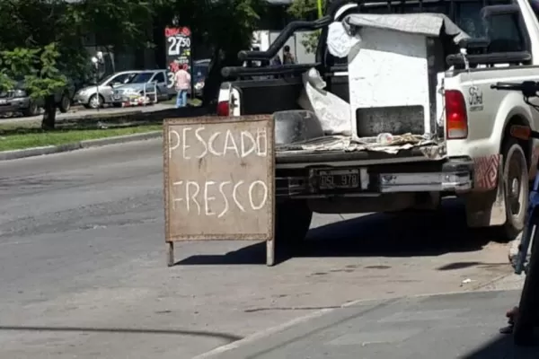 Festival de furtivos en el Sur