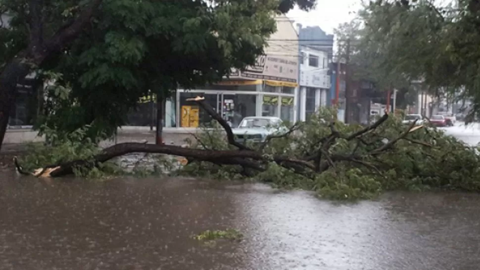 DEVASTADOR. El tornado que azotó a Santiago dejó destrucción a su paso. FOTO TOMADA DE MINUTOUNO.COM