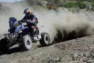 Patronelli puso la casa en orden