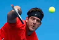 Del Potro volvió a ganar y se metió en las semifinales