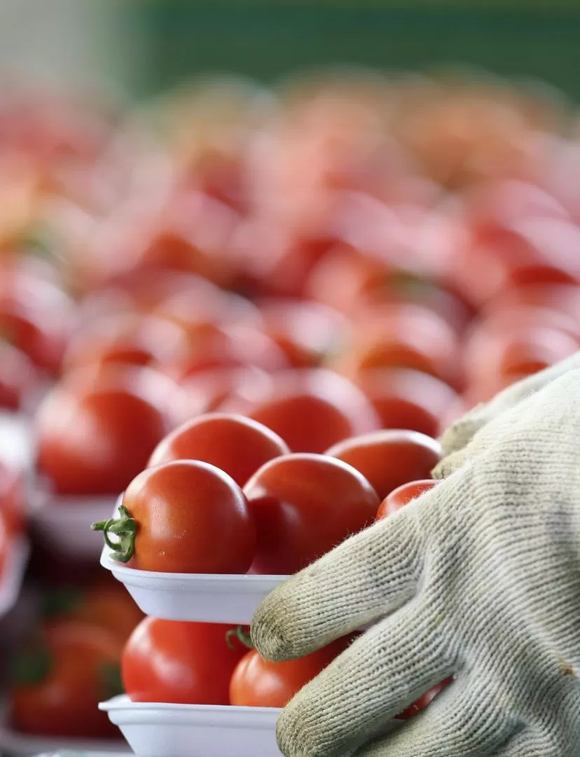 INGRESO DESDE BRASIL. El Gobierno quiere garantizar el acuerdo de precios. la gaceta / foto archivo