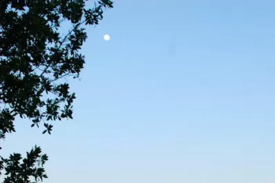 Las sorpresas que atesora el caribe mexicano