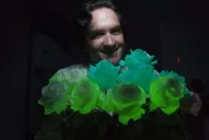 Cómo hacer una rosa fluorescente en tu casa