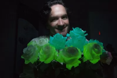 Cómo hacer una rosa fluorescente en tu casa