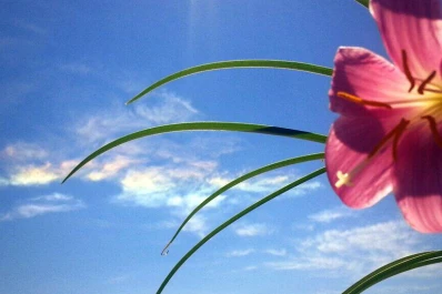 Una nube iridiscente coloreó el cielo tucumano y las redes sociales