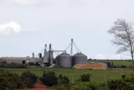 Prevén que la siembra de soja suba un 9%