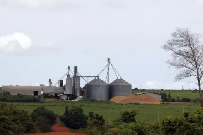 Prevén que la siembra de soja suba un 9%