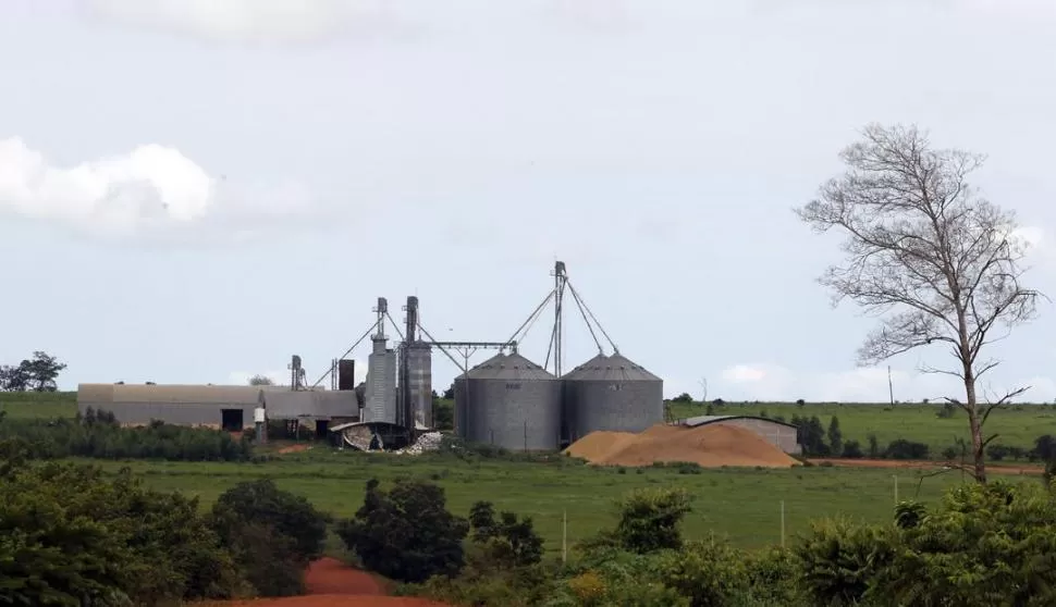 OPTIMISMO. El área sojera atraviesa la etapa reproductiva en buenas condiciones, precisó la Bolsa de Cereales. reuters