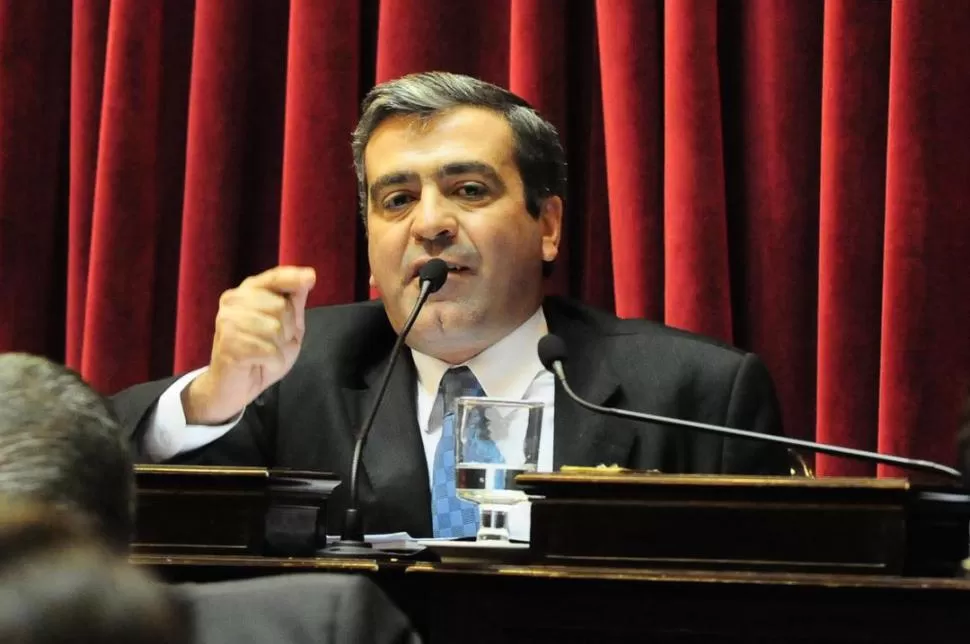 TRIUNFO Y EXPECTATIVAS. La lista que encabezó Cano en octubre fue la más votada de la oposición;  dejó el Senado para asumir como diputado. la gaceta / archivo