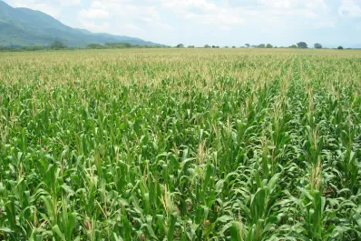 La Escuela de Agricultura está al servicio de la industria local desde sus orígenes
