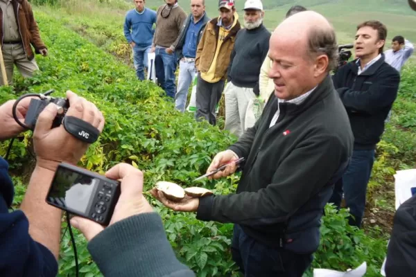 Desarrollan actividades productivas para afianzar los valles