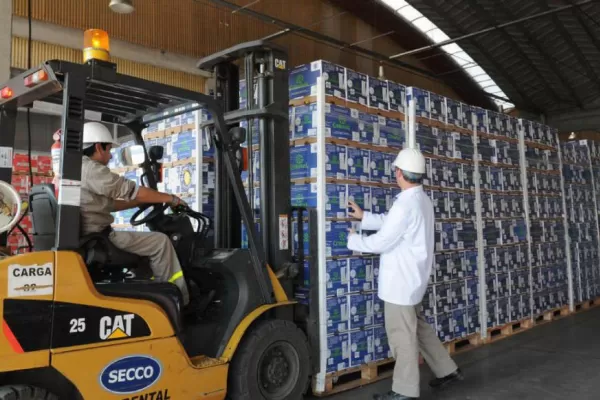 El limón tendrá beneficios impositivos por un año