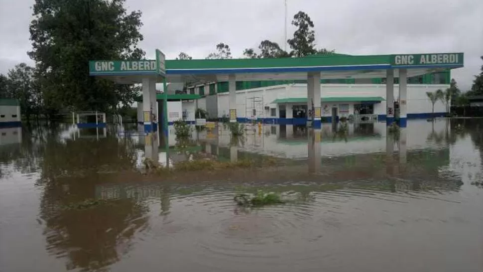  foto de @EVANGELINABUL / twitter