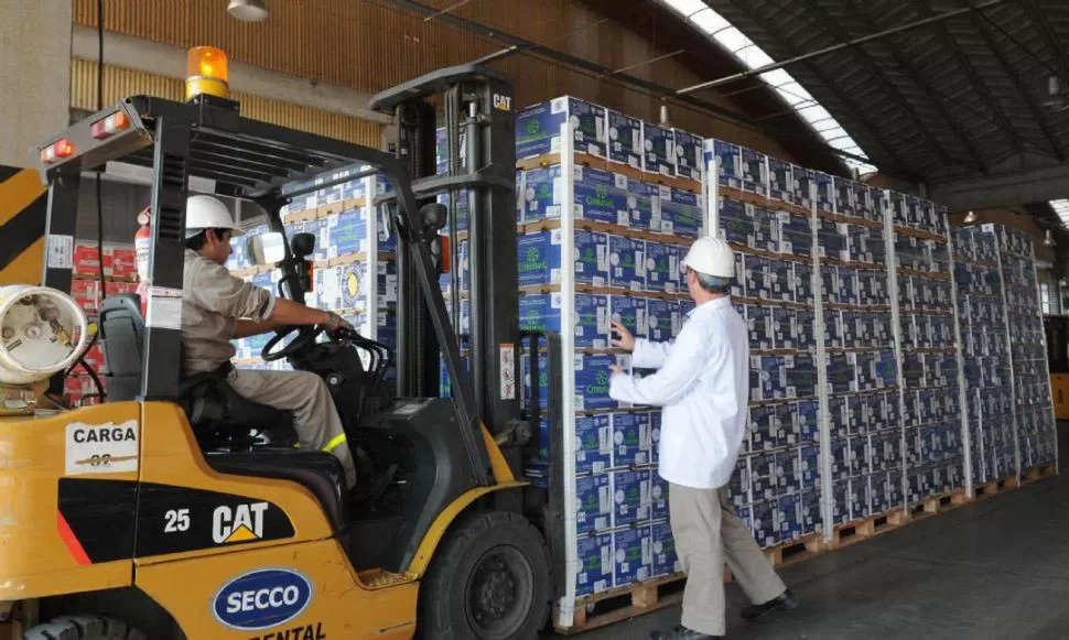 COMPROMISOS DE EXPORTACIÓN. Los citricultores dijeron que garantizan la cantidad del limón que requerirá los principales mercados externos. la gaceta / foto de archivo