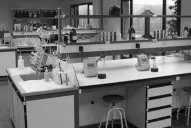 Las ciencias biológicas se desarrollaron activamente durante la década de 1930