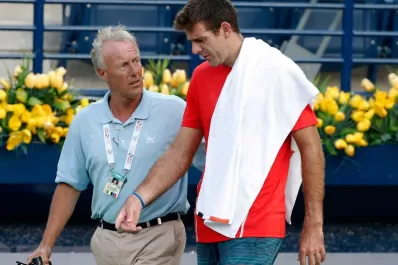 Del Potro prometió seguir luchando