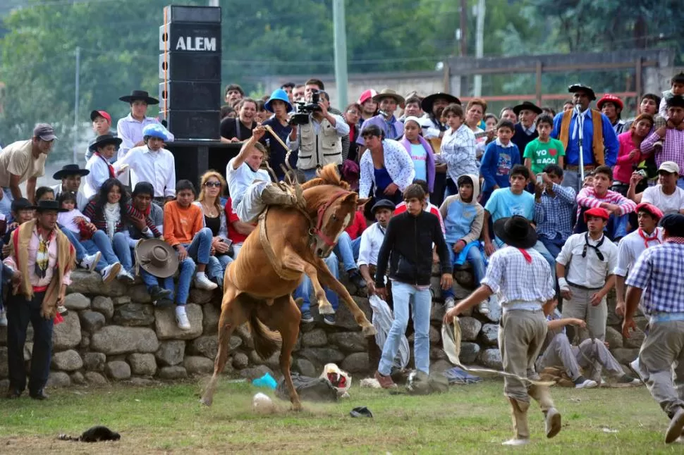 ANTES DEL DESENLACE. Los espectadores observan con atención el show de la “crina limpia”; a la derecha está el “escenario” en el que se ubican el relator y el payador de la doma. la gaceta / fotos de diego araoz
