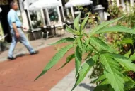 La ONU considera por primera vez la despenalización del consumo de drogas