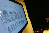 Mataron al capo narco mexicano El Chayo