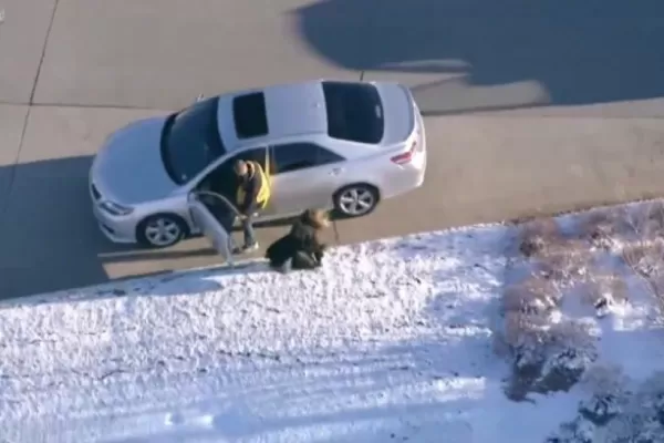 Como en GTA, un sujeto robó dos autos durante una persecución policial