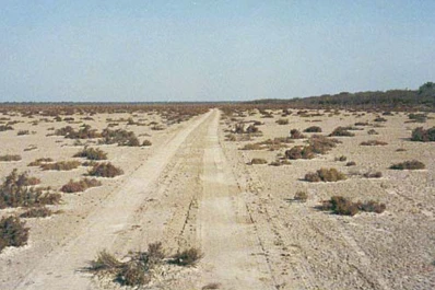 Alarma el aumento del consumo de cocaína en el interior Santiago del Estero