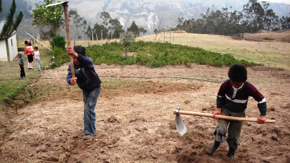 OPERATIVO. Se realizó en tres quintas ubicadas en el partido de Florencio Varela, en las cuales se cultivaban hortalizas. FOTO TOMADA DE QUEPASASALTA.COM