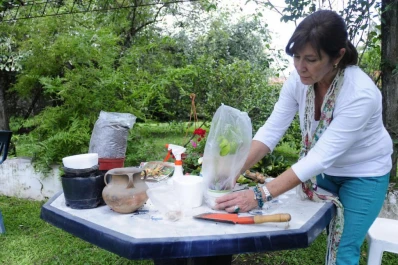 Es tiempo de renovar el jardín: seguí seis pasos simples y reproducí tus plantas favoritas