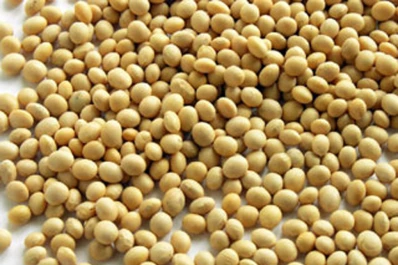 Se impone un modelo “sojaexportador”