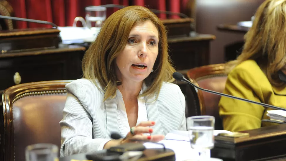 EN BUSCA DE SOLUCIONES. La idea es impulsar más oficinas de empleo, dijo la ex senadora nacional. FOTO DE DIARIODESANTIAGO.COM