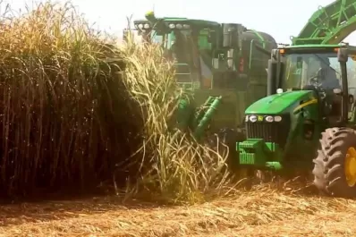 Tucumán se convertirá en líder en gestión con caña de azúcar