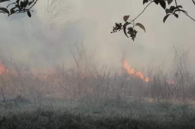 “Esta certificación ayudará a que mejore la imagen de la producción azucarera”