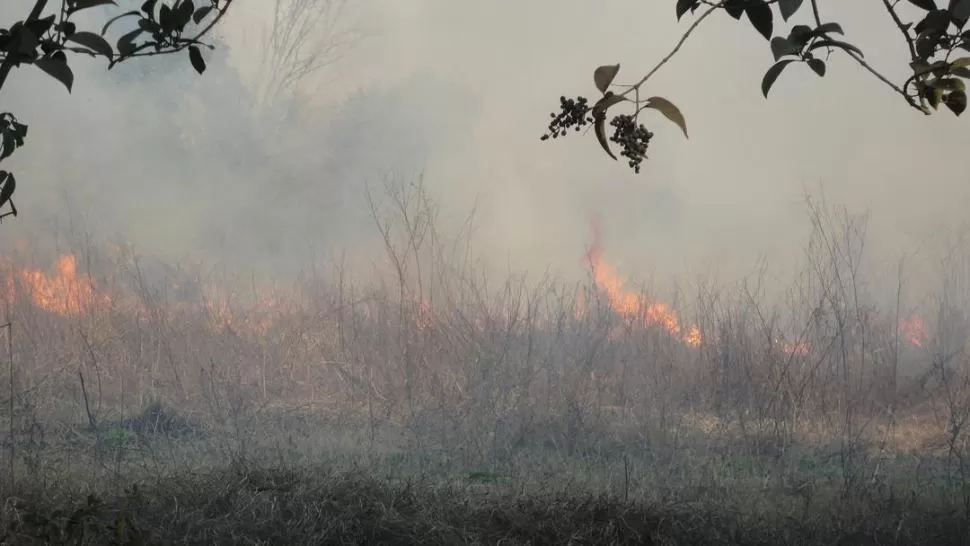 IMPACTO. La quema termina por contaminar y dañar el medio ambiente.  