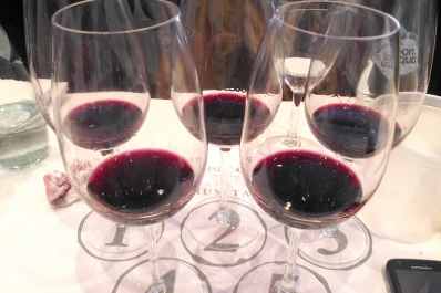 Realizan la primera cata a ciegas con vinos de diferentes terroirs