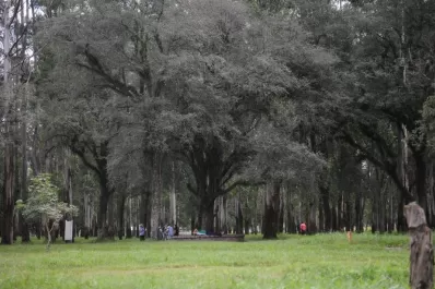 El parque de la Joven Argentina quedará cercado