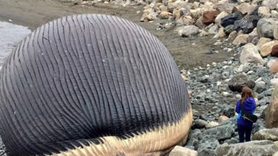 FOTO TOMADA DE DIARIOUNO.COM.AR