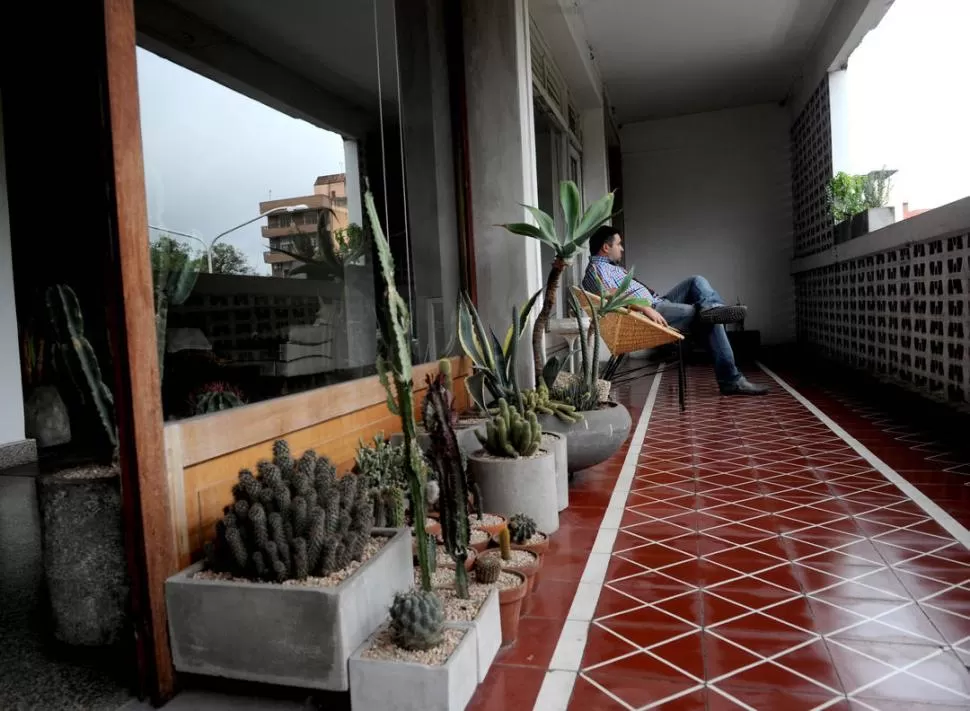 MINIMALISTA. El balcón del arquitecto Zamora tiene una colección de cactus como único elemento protagonista. la gaceta / foto de diego aráoz 