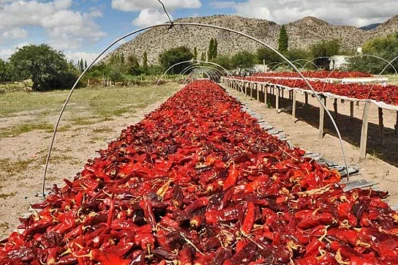 Catamarca, La Rioja y Tucumán, en el documental sobre la Ruta de las Especias