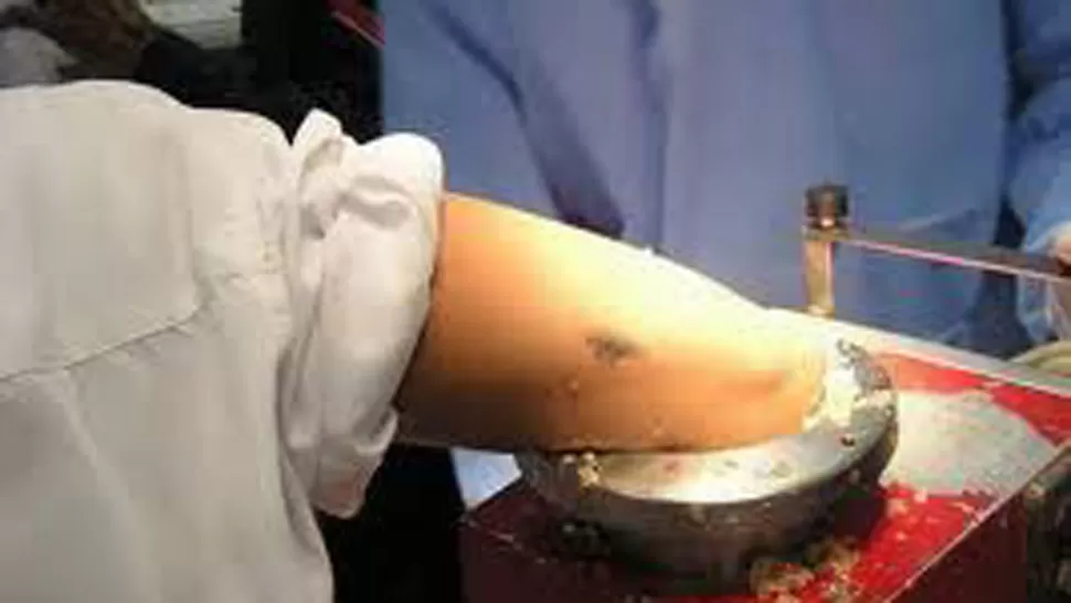 FOTO DE ARCHIVO TOMADA DE DOGGUIE.NET