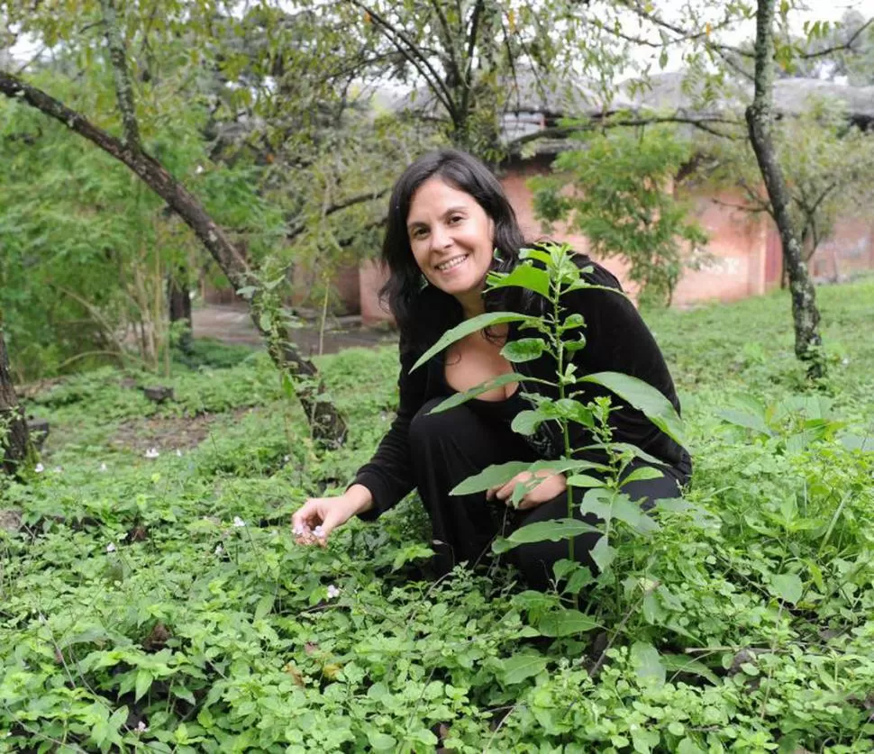  CONTUNDENTE. Natacha Chacoff sostiene que la polinización es uno de los servicios gratuitos de la naturaleza. la gaceta / fotos de hector peralta