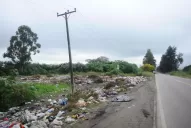 Transformarán un basural en un bosque