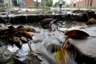 Reconocen que el sistema no da abasto