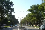 Tafí Viejo se llenará de álamos robustos y lapachos coloridos