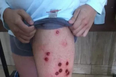 Video: Duro enfrentamiento en la Caja Popular de Ahorros, en pleno centro de Tucumán